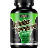 MAXLER TRIBULUS TERRESTRIS 90% - Slika 2