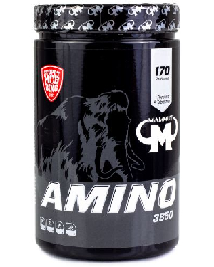 Mammut Amino 3850