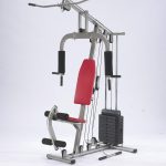 KUĆNA TERETANA 50kg