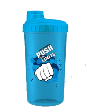 SHAKER Push The Limits