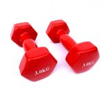 Plastificirane Gumene Bućice 3 kg (par) Uteg