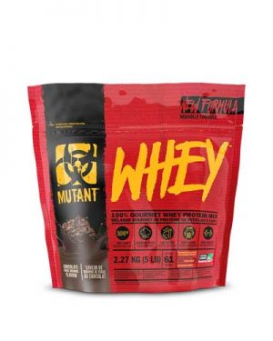 WHEY PROTEIN